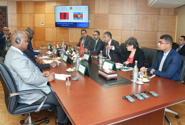 Morocco-Eswatini dialogue: Mobilizing diasporas for the development of home countries