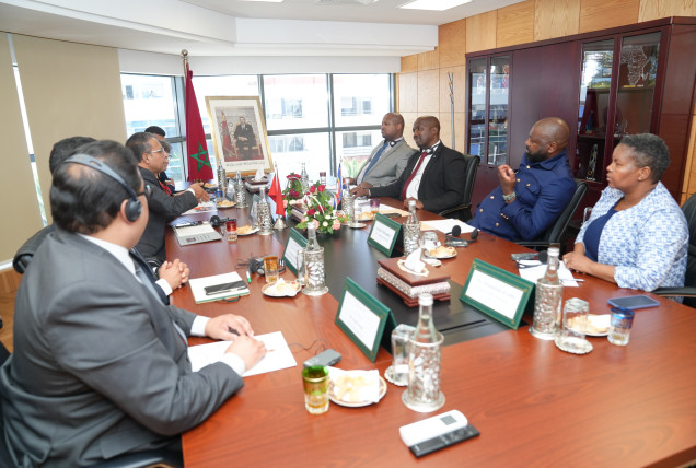 Morocco-Eswatini dialogue: Mobilizing diasporas for the development of home countries